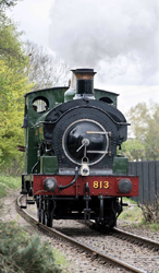   796
