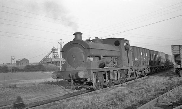 NCB 11
